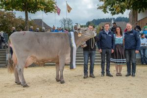 015Miss Original Braunvieh